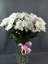 Фото флориста 1: Букет из 11 кустовых белых хризантем «Школьный двор»