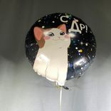 Фото флориста 2: Шар с гелием «Круг - С ДР (котик)», 46 см