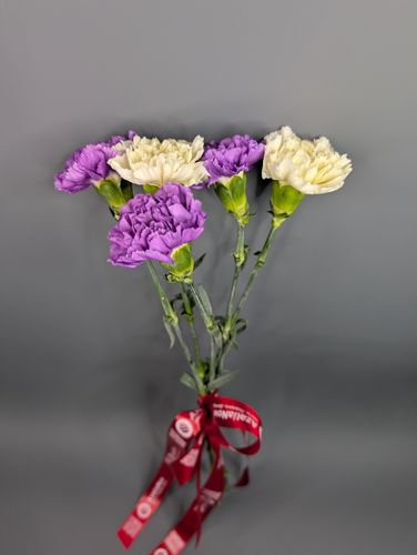 Фото флориста 1: Гвоздики