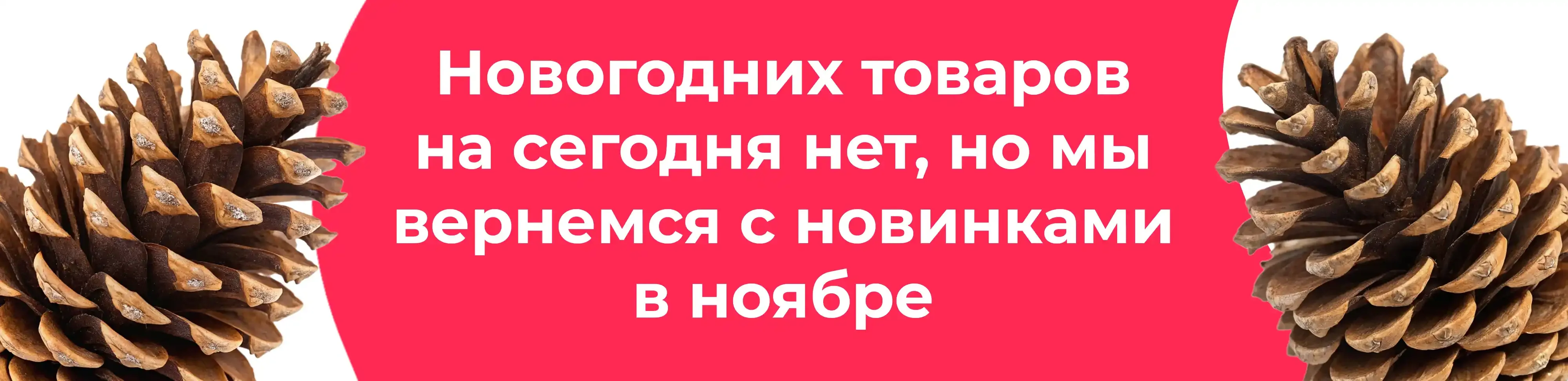 Баннер для рубрики: Шишки ели