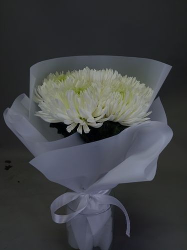 Показать все изображения