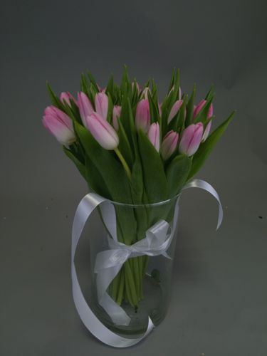 Показать все изображения