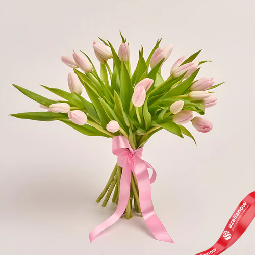 Фото 1: 25 светло-розовых тюльпанов, Россия. Сервис доставки цветов AzaliaNow
