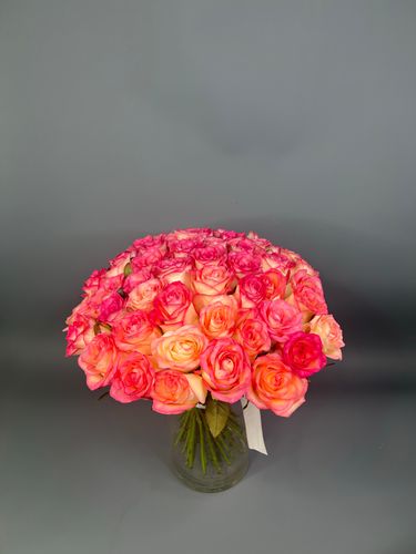 Показать все изображения