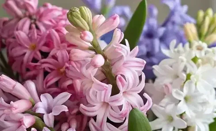 Апрельский букет