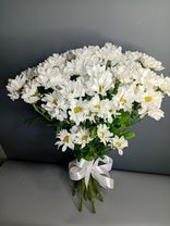 Фото флориста 1: Букет из 9 кустовых белых хризантем с лентой, Ромашка, Голландия