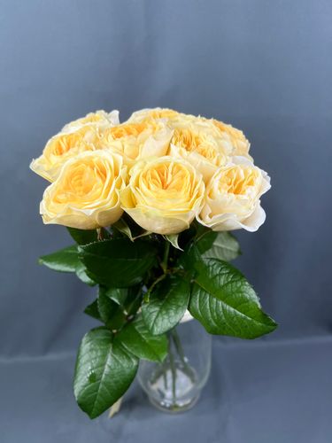Фото флориста 3: Пионовидные розы Эквадор