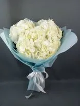Фото флориста 1: Букет из 3 белых гортензий в голубой пленке «Мы учились, мы влюблялись»