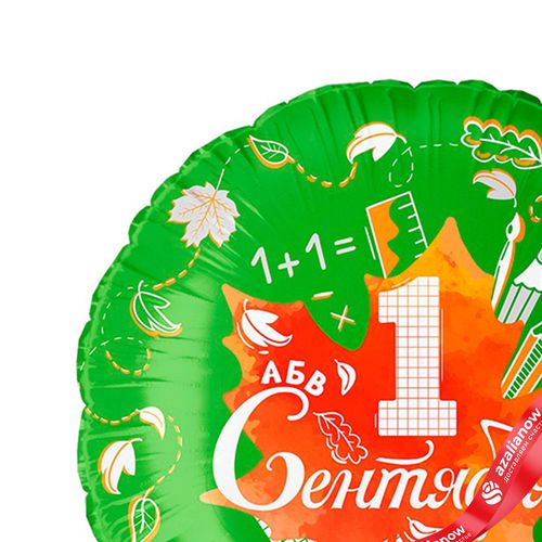 Фото 4: Шар с гелием «Круг - 1 Сентября (кленовый лист)», зеленый, 46 см
