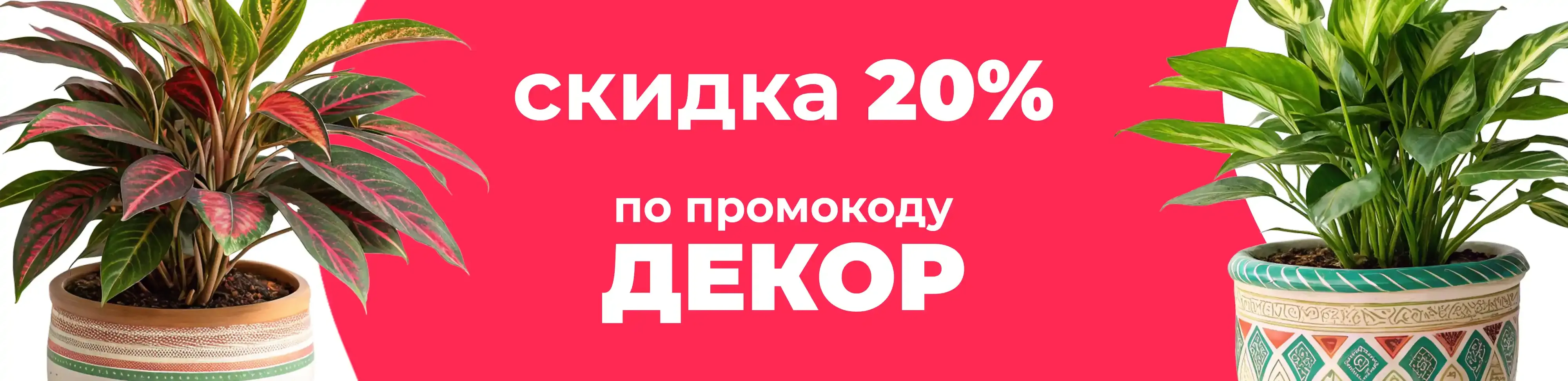 Баннер для рубрики: Большие домашние цветы
