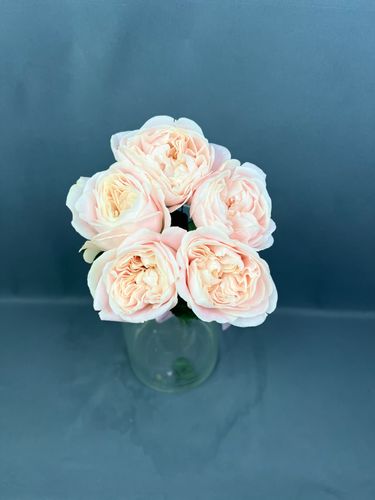 Фото флориста 3: Пионовидные розы