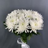 Фото флориста 1: 1 белая одноголовая хризантема