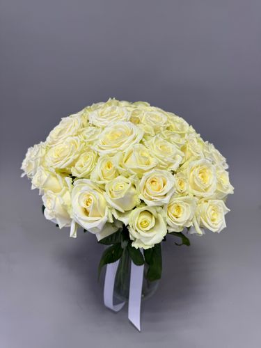 Показать все изображения