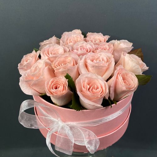 Показать все изображения