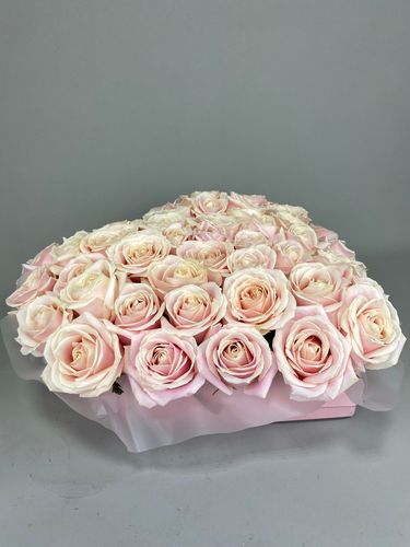 Показать все изображения