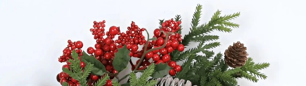 Цветы января Цветы января
