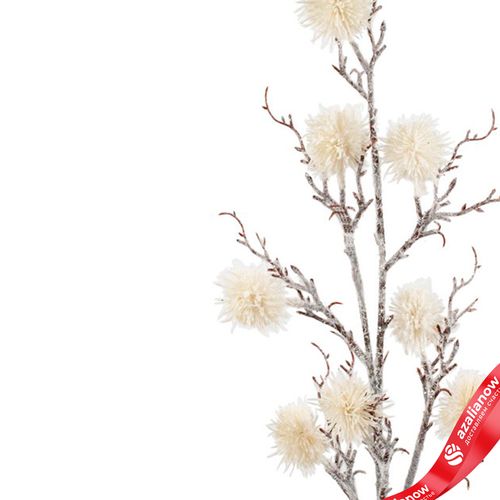 Фото 4: Ветка декоративная заснеженная, H73 см, белый