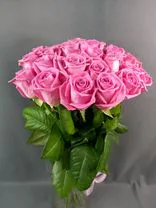 Фото флориста 5: 23 розовых розы высшего сорта