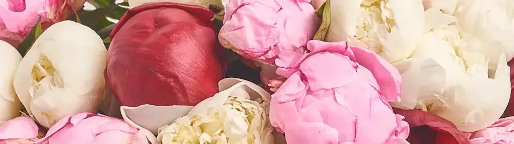 Цветы апреля