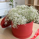Маленькое фото 1: Букет из 7 белых гипсофил в красной коробке