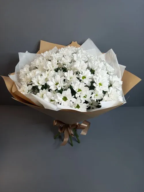 Показать все изображения