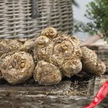 Маленькое фото 3: Калла Брайдал Букет (Bridal Bouquet). Сервис доставки цветов AzaliaNow