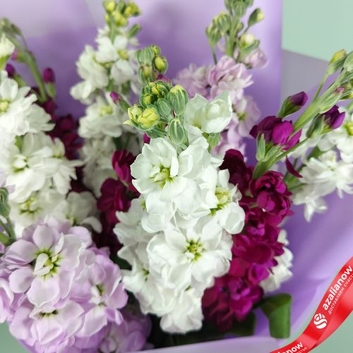 Фото 5: Букет из 9 маттиол микс в сиреневой пленке