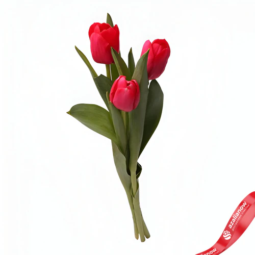 Фото 1: Букет из 3 красных тюльпанов. Сервис доставки цветов AzaliaNow