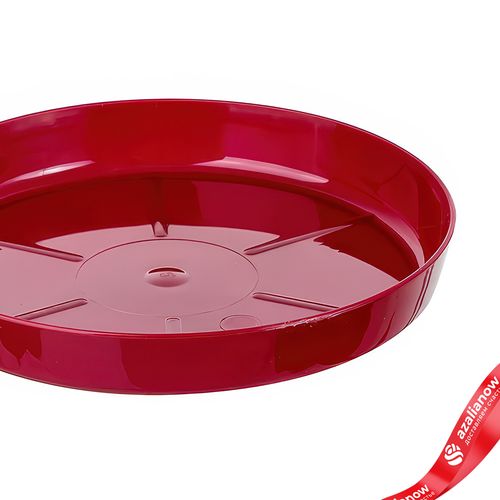 Фото 3: Поддон для цветочного горшка (пластик), D11,5см, красный