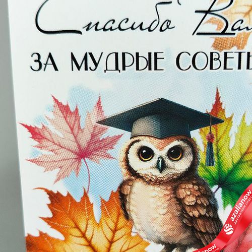 Фото 2: Открытка «Спасибо Вам за мудрые советы», 7х10 см