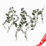 Маленькое фото 1: Гирлянда сосновая с шишками, 180см, зеленый