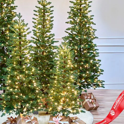 Фото 3: Ель искусственная с лампочками «Тикко» (PE), 2,2м, зеленый