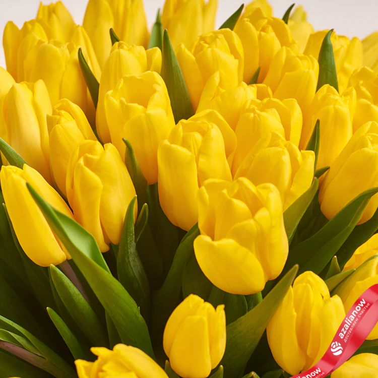 Фото 3: 51 желтый тюльпан, Россия. Сервис доставки цветов AzaliaNow