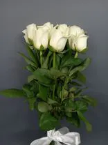 Фото флориста 1: Букет из 7 белых роз с лентой, 60 см, Россия