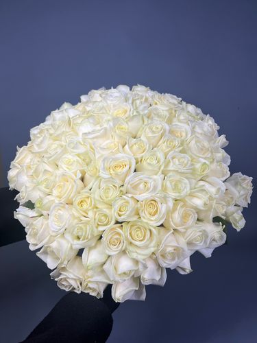 Показать все изображения