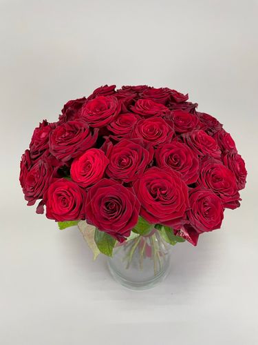 Показать все изображения