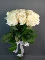 Фото флориста 2: 13 белых роз 60 см, Россия