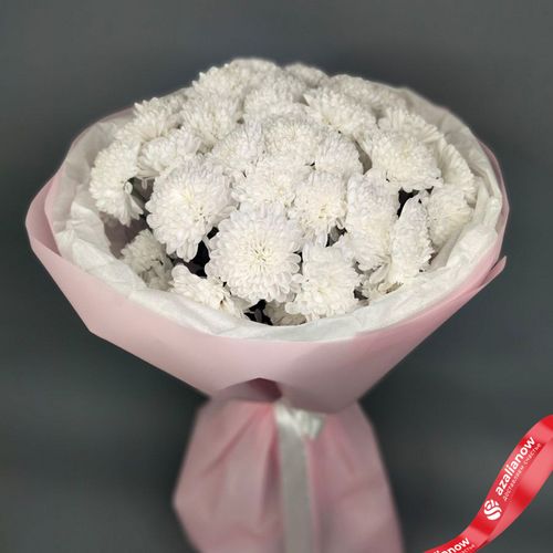 Букет из 9 белых кустовых хризантем «Алтай», в пленке с лентой