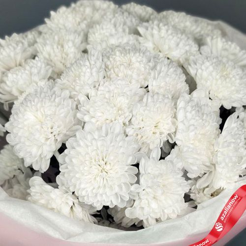 Фото 5: Букет из 9 белых кустовых хризантем «Алтай», в пленке с лентой