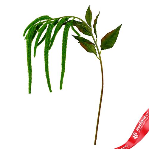 Амарант искусственный (пластик), 110см, зеленый