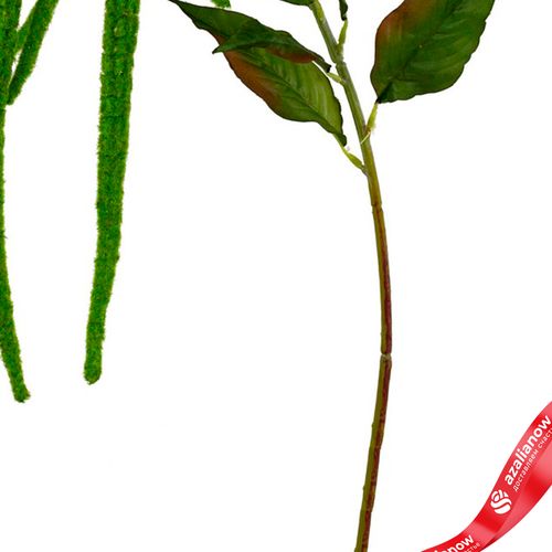 Фото 3: Амарант искусственный (пластик), 110см, зеленый