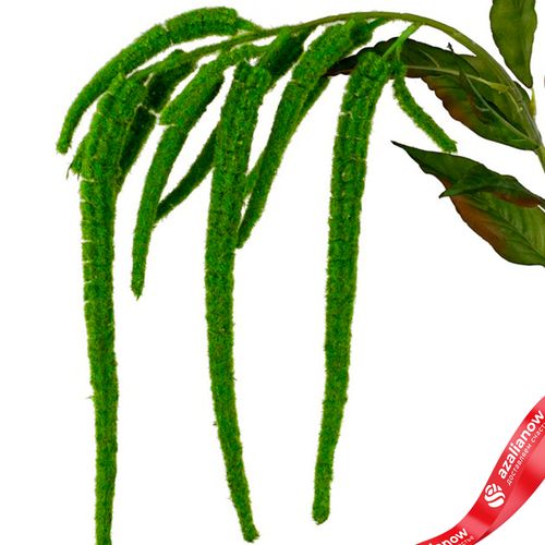 Фото 4: Амарант искусственный (пластик), 110см, зеленый