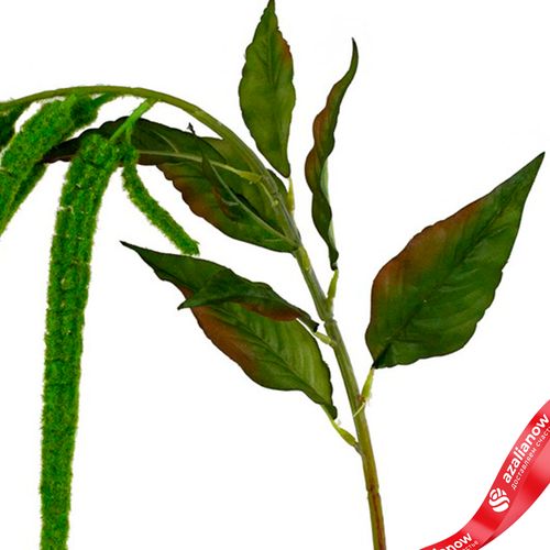 Фото 5: Амарант искусственный (пластик), 110см, зеленый