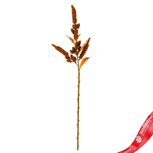 Амарант искусственный (пластик), 85см, коричневый