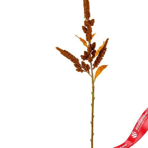 Фото 2: Амарант искусственный (пластик), 85см, коричневый