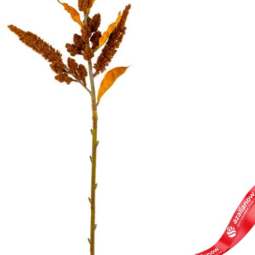 Фото 3: Амарант искусственный (пластик), 85см, коричневый