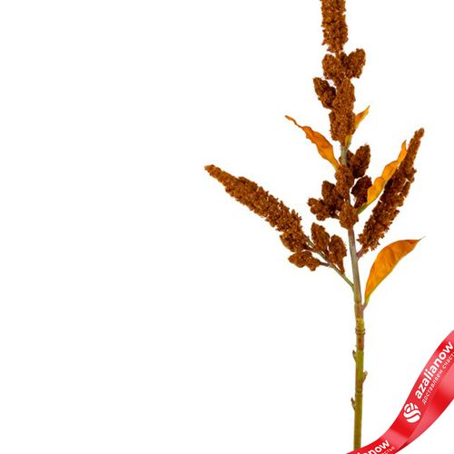 Фото 4: Амарант искусственный (пластик), 85см, коричневый