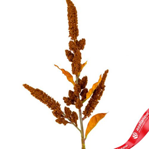 Фото 5: Амарант искусственный (пластик), 85см, коричневый