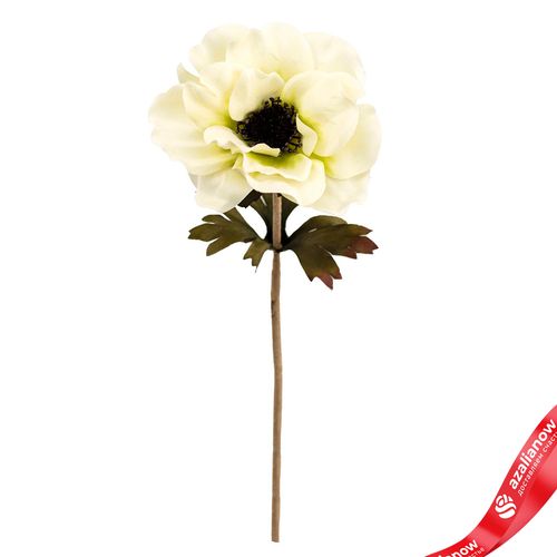 Анемон искусственный (пластик), 35см, кремовый