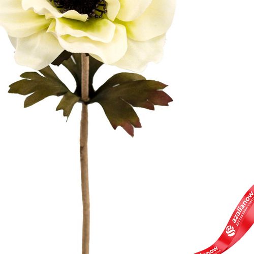 Фото 3: Анемон искусственный (пластик), 35см, кремовый